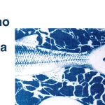 En torno al agua